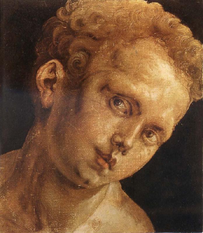 Albrecht Durer Head of a boy facing toward  the right France oil painting art